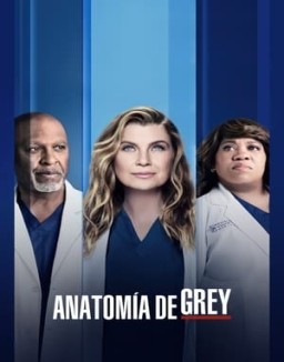 Anatomía de Grey temporada  18 online