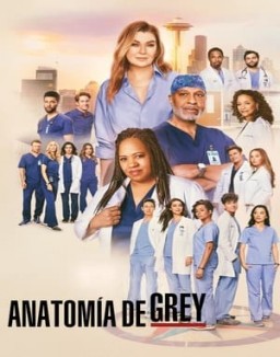 Anatomía de Grey online gratis