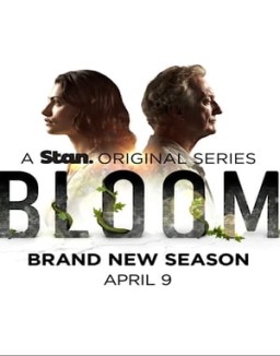 Bloom online