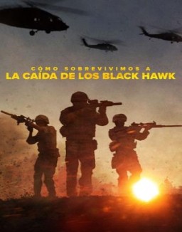 Cómo sobrevivimos a la caída de los Black Hawk T1