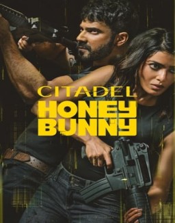 Citadel: Honey Bunny