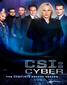 CSI: Cyber online