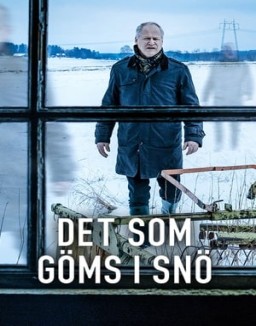 Det som göms i snö T1