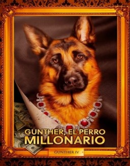 Gunther, el perro millonario