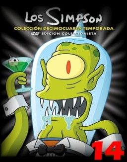 Los Simpson T14