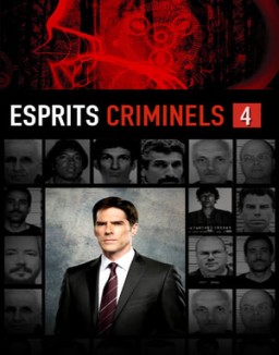 Mentes criminales T4