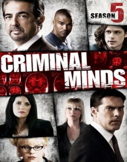 Mentes criminales temporada  5 online