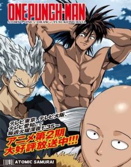 One Punch Man T2