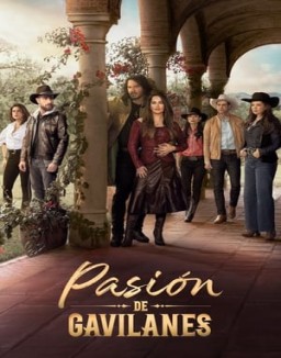 Pasión de gavilanes T2